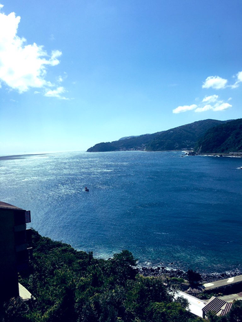 伊豆の海