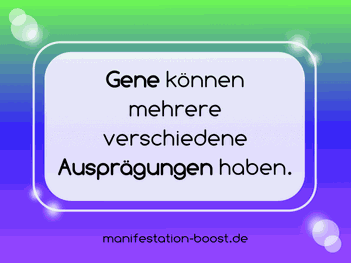 Gene können mehrere verschiedene Ausprägungen haben.