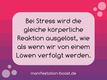 Bei Stress wird die gleiche körperliche Reaktion ausgelöst, wie als wenn wir von einem Löwen verfolgt werden.