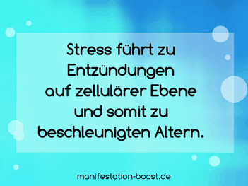 Stress führt zu Entzündungen auf zellulärer Ebene und somit zu beschleunigten Altern.