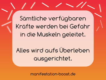 Sämtliche verfügbaren Kräfte werden bei Gefahr in die Muskeln geleitet. Alles wird aufs Überleben ausgerichtet.