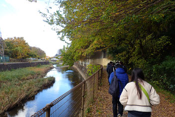 日曜組.鵜の森公園から町田駅までは境川沿いをてくてく.見どころは結構あったけれど,見ていたかな?
