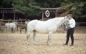Belle Berber Eintragung 1994
