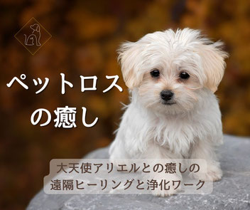 ペットを失った飼い主様とペットのいたお住まいを対象とした癒しの遠隔エネルギーワーク