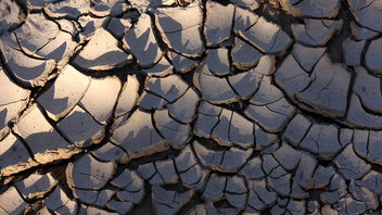 Soil, Prince Albert, South Africa