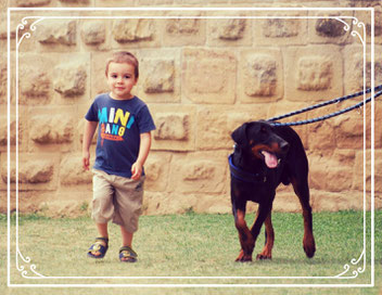 relation chien enfant atelier aude