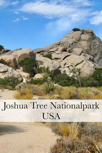 USA Rundreise: Roadtrip zum Joshua Tree Nationalpark und Lake Havasu City. #usareise #usaroadtrip
