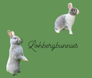 lohbergbunniess Webseite!