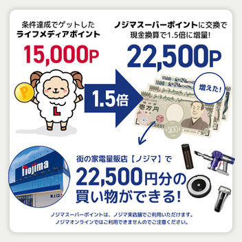 ノジ活で月収10万円稼ぐ