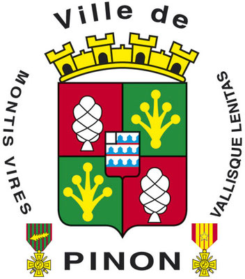 Site de villedepinon !