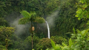 Combinado: Catarata La fortuna & Puentes Colgantes