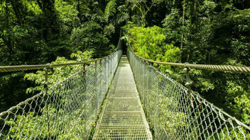 Arenal Combinado: Puentes Colgantes & Volcán Arenal