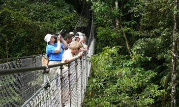 Caminatas Puentes Colgantes del Arenal