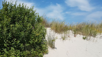 Spiekeroog Strand, Ostfriesische Inseln, Ostfriesland, Nordsee, Strand