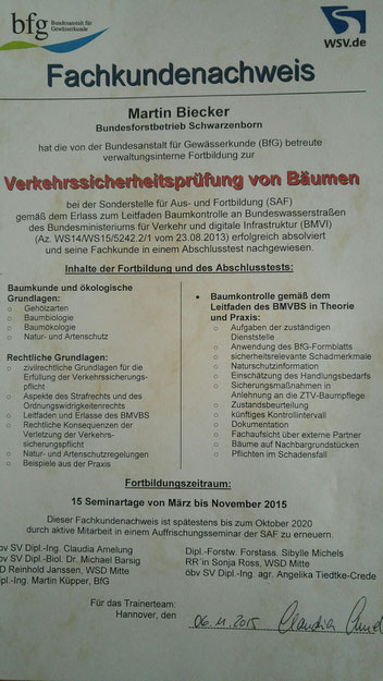 bieckers-motorsaegen.de