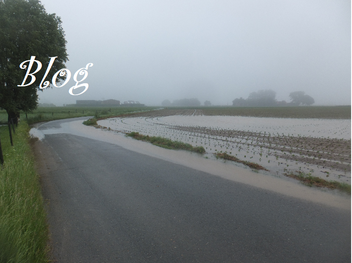 Vlamertinge-overstroming-weg-Brandhoek-België