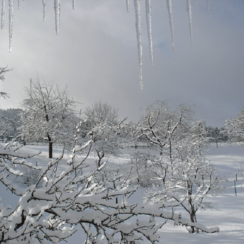 Winterimpression der Natur in der Nähe des Gasthofs "Zum Hohen Lohr" in Battenhausen landschaftlich schön gelegen im Naturpark Kellerwald-Edersee in der nordhessischen Grimmheimat
