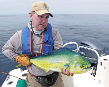 Mahi Mahi