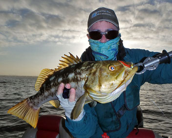 Fly Fishing for Calico Bass - San Diego Fly Fishing Equipment, Fly