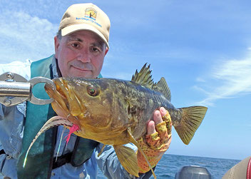 Calico bass caught using Rio Striper Line