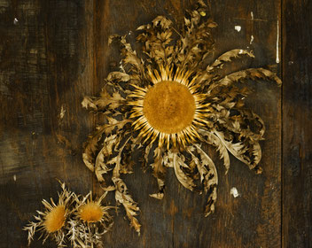 Eguzkilore (“Flor del sol”). Símbolo vasco de protección que se coloca en la puerta del etxe.