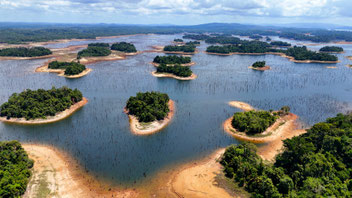 Kleine Inseln und tote Bäume im Brokopondo-Stausee