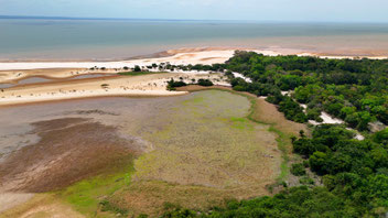 Floresta Nacional do Tapajós - eines der grössten Naturschutzgebiete im Amazonasgebiet.