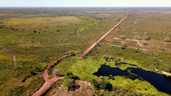 Das Pantanal - das grösste Feuchtgebiet der Welt