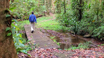 Wanderung durch den Regenwald in Französisch-Guyana