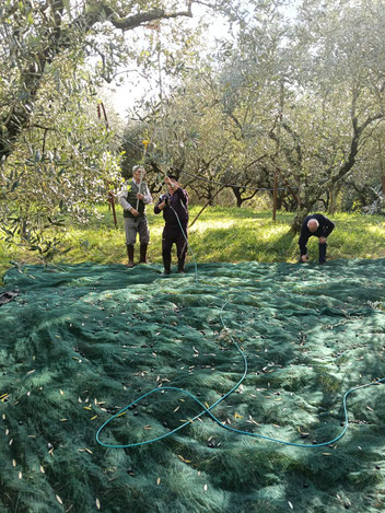 clicca per le foto e l'articolo completo