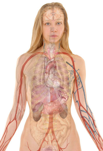 Stress und seine Auswirkungen auf den Körper. Entspannungstipps um schnell und effizient Stress abbauen, Antistress Tipps und Tipps zur Stressbewältigung, resilienter werden, Resilienz steigern.