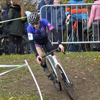 hollandrad marken Wittich Nostalgie Hollandrad Damenrad 28 Zoll, Shimano Nexus 7-Gang   alexanderad.de
