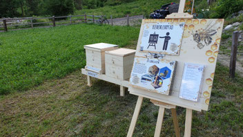 Vorstellung der Fotobeute und der Lehrtafeln des Bienenlehrpfades "ToGo"