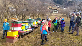 Eine Schulklasse am Bienenstand: Ablauf eines Bienenjahres