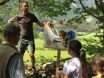 Gottfried Peball führte die Besucher durch den Bienenrundwanderweg