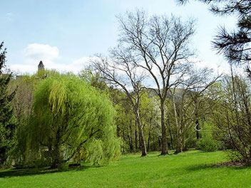 Ansicht Schlosspark Seebenstein