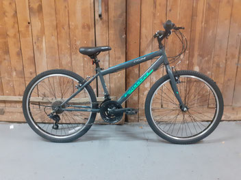 Pacific quasar 21 speed cheap bike
