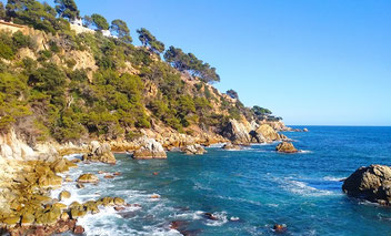 Коронавирус в Испании, в Каталонии и в Барселоне