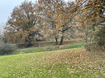 Hier ist die Absteckung des letzten Teils der geplanten Streckenführung zu sehen, der dann auf den mit Schwerlastverkehr frequentierten Weg (siehe Foto zwei) zur Deponie der Fa. Triesch führen soll.