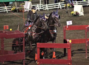 Verena Beck im Hindernisparcours