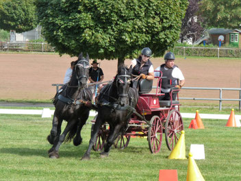 Fahrsport vom Feinsten