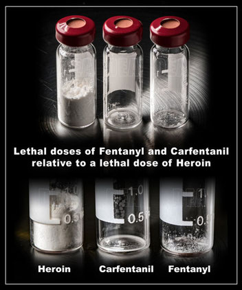 Eine tödliche Dosis Fentanyl und Cafentanil im Vergleich zu einer tödlichen Dosis Heroin