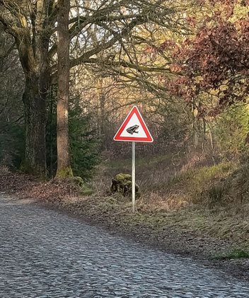 Dreieckiges Verkehrsschild mit Krötensymbol am Straßenrand