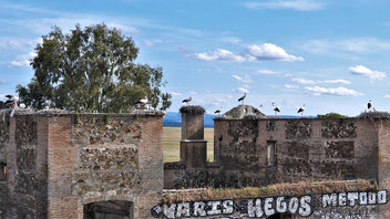 Extremadura, Ruine mit Storchennestern