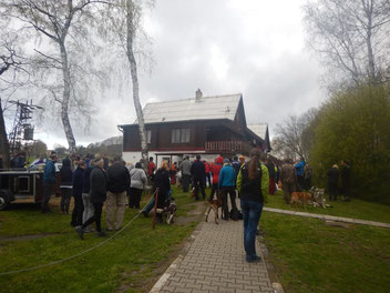 Dogtrekking Dogtrekking Dogtrekking Dogtrekking Elbsandstein-Dogtrekking ESDT Harz-Dogtrekking