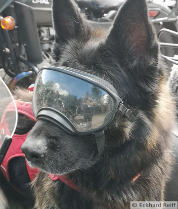 everyone enjoyed the ride