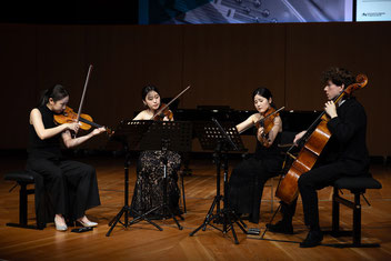 Das Verve-Quartett. Bild: Alessandro de Matteis