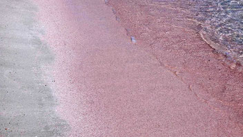 Elafonisi Strand, rosa Sand