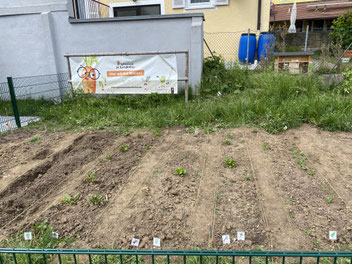 Der frisch eingesäte Acker.