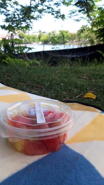 Eine Plastikschale mit Obst liegt auf einer Picknickdecke am See.